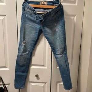 Hollister jeans (medium wash)